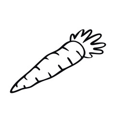 Carrot vegetable doodle logo icon sign food harvest symbol emblem Hand drawn sketch Cartoon children's style design Fashion print clothes apparel greeting invitation card cover flyer poster banner	