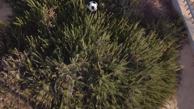 �amera fly away over the soccer ball abandoned in a grass in the corner of the yard