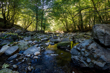 Beautiful park in Sochi in autumn