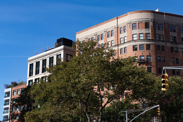 Fototapeta premium Green Trees and Buildings in Tribeca of New York City along a Street