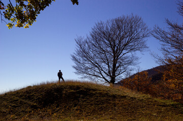 Hiker on the summit of a mountain with bare tree in silhouette