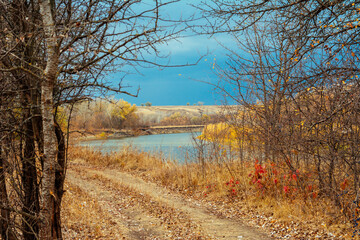 forest, autumn, forest thicket, nature, Russia, the world, recreation, sky, river