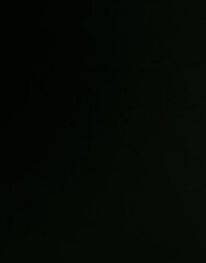 Brushed Painted Abstract Background. Brush stroked painting. Strokes of paint. 2D Illustration.