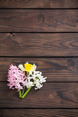 hyacinth flowers on dark wooden background