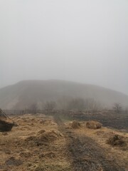 fog in the mountains