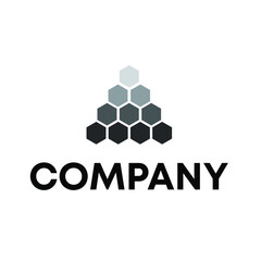 Fototapeta premium hexagon triangle logo design