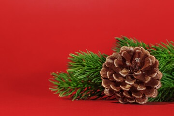 Pine cone on background spruce, on a red background. Selective focus. Christmas composition, postcard. Christmas, new year concept. Copy space