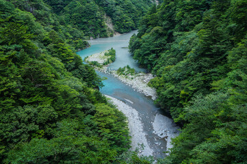 Fototapeta na wymiar 静岡県の寸又峡