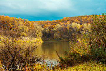 forest, autumn, forest thicket, nature, Russia, the world, recreation, sky, river