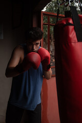 boxer training in heavy bag