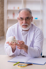 Old male anatomy teacher demonstrating human skeleton