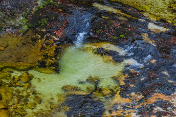beautiful colorful basin with clear cold water