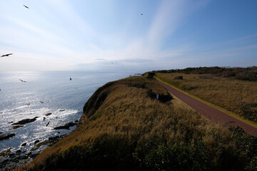 神奈川県の城ヶ島公園