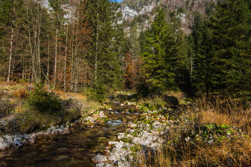 little mountain torrent with lot of stones on the bank