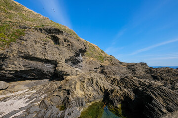 神奈川県城ヶ島の岩場