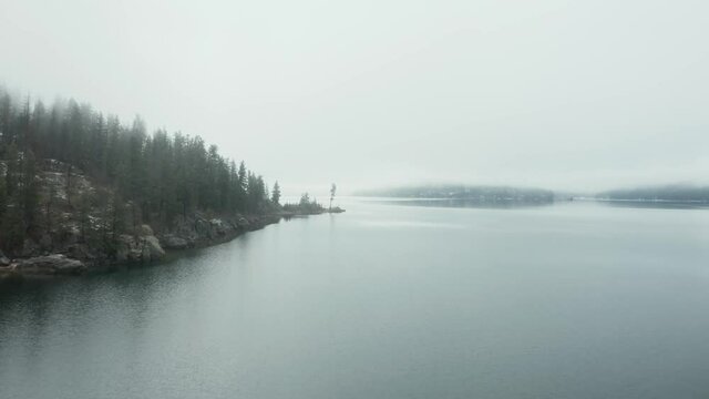 Aerial drone heading toward Tubbs Hill Tree in the fog in Coeur d'Alene