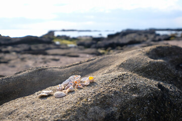 神奈川県の城ヶ島公園
