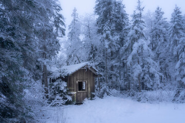 lonely wooden cottage  in a deep snowy fir forest in the Allgaeu Alps, Bavaria Germany