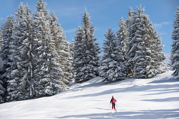 nice and active senior woman snowshoeing in deep powder snow in the Allgau alps, Bavaria, Germany