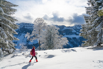 nice and active senior woman snowshoeing in deep powder snow in the Allgau alps, Bavaria, Germany