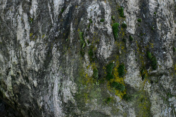 Closeup of stone with moss