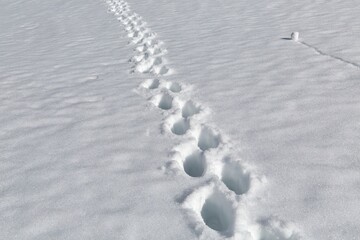 Footprints in deep snow on a mountain slope