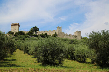 Fototapeta na wymiar The Lion Fortress in Castiglione del Lago, Italy