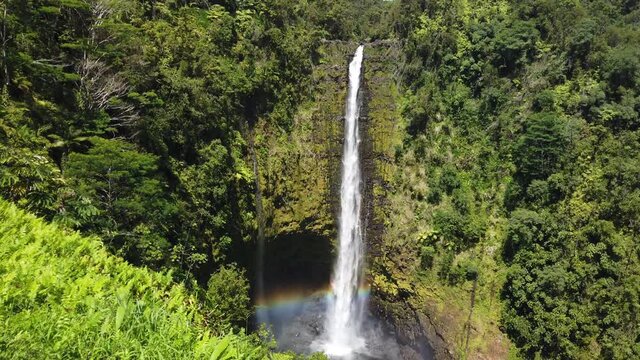 4k angle tilt from bottom to top motion of Akaka Falls, Beautiful pristine nature landscape showing the famous 442 foot scenic waterfall,big island,Hawaii,USA