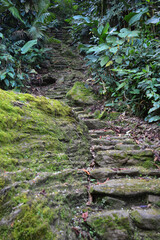 SANTA MARTA COLOMBIA Y TAIRONA
