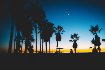Silhouettes of travelers and palm trees during dawn