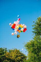 colorful balloons flying in the blue sky,