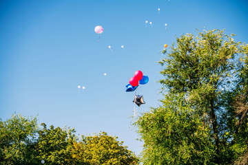 colorful balloons flying in the blue sky,