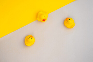 Cute yellow rubber duck isolated on a background in trendy colors. Color of 2021. Yellow, grey isolate.