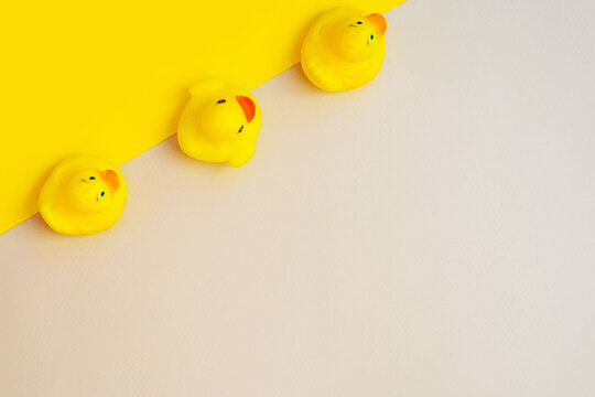 Cute yellow rubber duck isolated on a background in trendy colors. Color of 2021. Yellow, grey isolate.