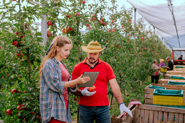 Fruit growers with digital tablet checking quality in modern organic orchard