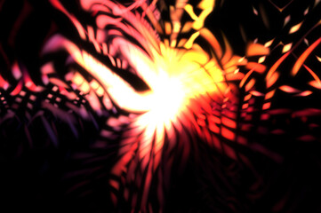 Fototapeta premium Light particle trails. Light explosion star with glowing particles and lines. Beautiful moving abstract rays background.