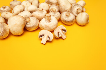 Porcini mushrooms on a yellow background close up