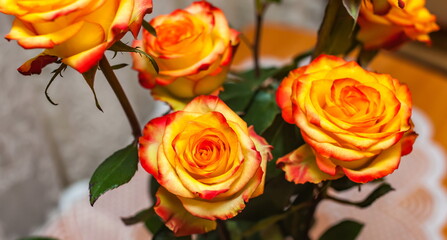 Yellow-orange roses in a bouquet closeup