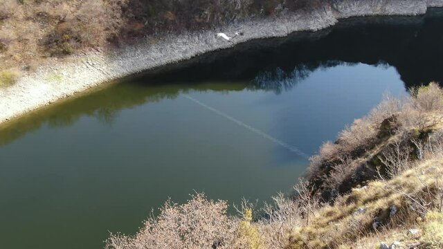 Griffon Vulture Flying Above Meanders of Uvac River, Serbia. Nature Reserve Home of Endangered Bird, Drone Tracking Shot