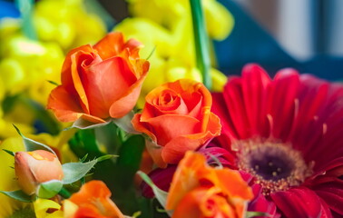 Bouquet of flowers closeup