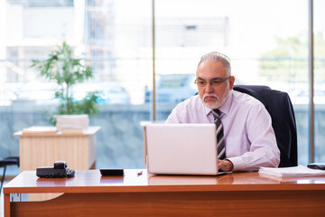 Fototapeta premium Old businessman employee working in the office
