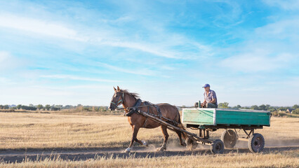 A horse pulls an old cart. Unusual mode of transport. © Evgeniy Kozlov