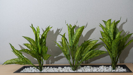 Wooden shelves with green plants and decorative elements on light wall background. Space for text.