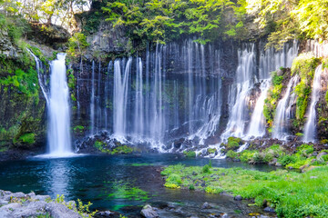 Fototapeta na wymiar 静岡県の白糸の滝