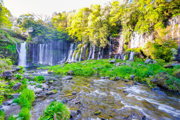 静岡県の白糸の滝