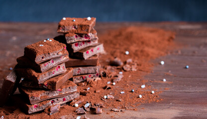 Organic food snack tasty sweet dessert milk dark chocolate bar macro closeup broken slide piece and fruit orange raspberry hazelnut nuts on cocoa cacao powder wooden table for new year Christmas gift