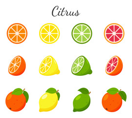 Set of fruit and citrus icons. Orange, grapefruit, lime and lemon. Whole fruit, half cut and slices. Collection in a flat design. Color vector illustration isolated on a white background.