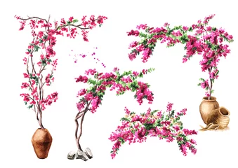 Fototapeten Bougainvillea Blumenbogen, Set dekorativer Elemente, handgezeichnete Aquarellillustration isoliert auf weißem Hintergrund © dariaustiugova