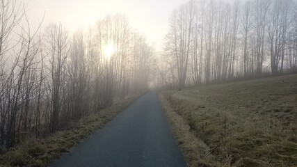 Autumn Nature scene. Rays of the morning sun shine through the mysterious fog in the beautiful old forest after the storm