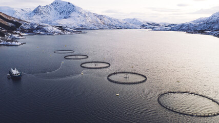 Salmon fish farming in Norway sea. Food industry, traditional craft production, environmental conservation. Aerial view of round mesh for growing and catching fish in arctic water surrounded by fjords